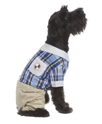 blessed dog hoodie