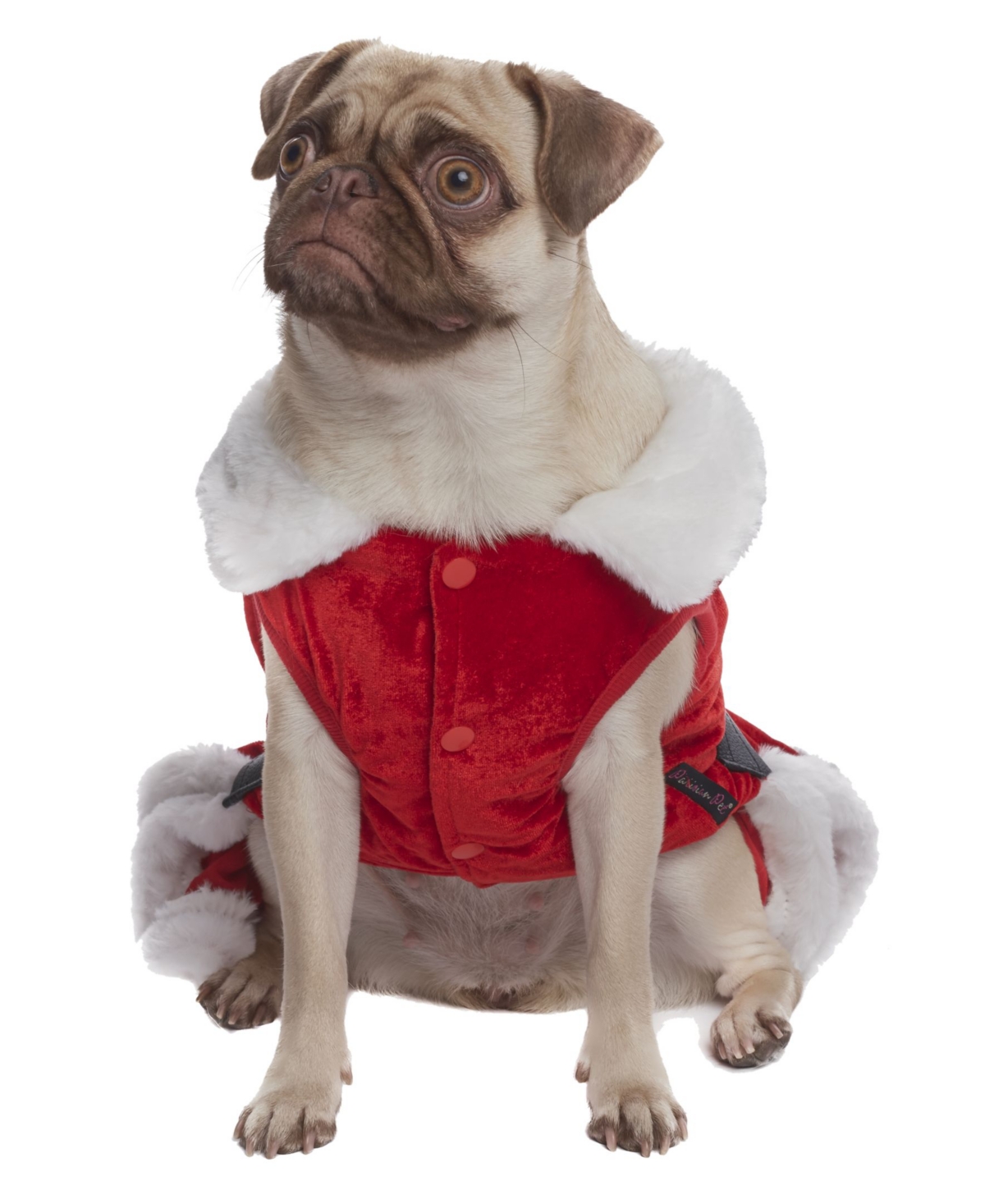Parisian Pet Mrs Claus Winter Dress