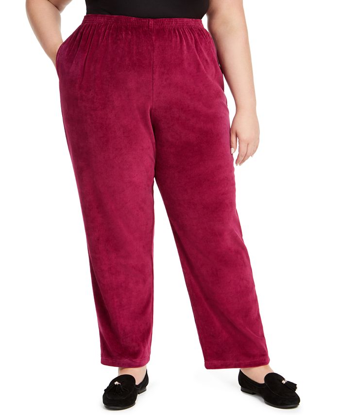 Alfred Dunner Plus Size Bright Idea Velour Pants - Macy's