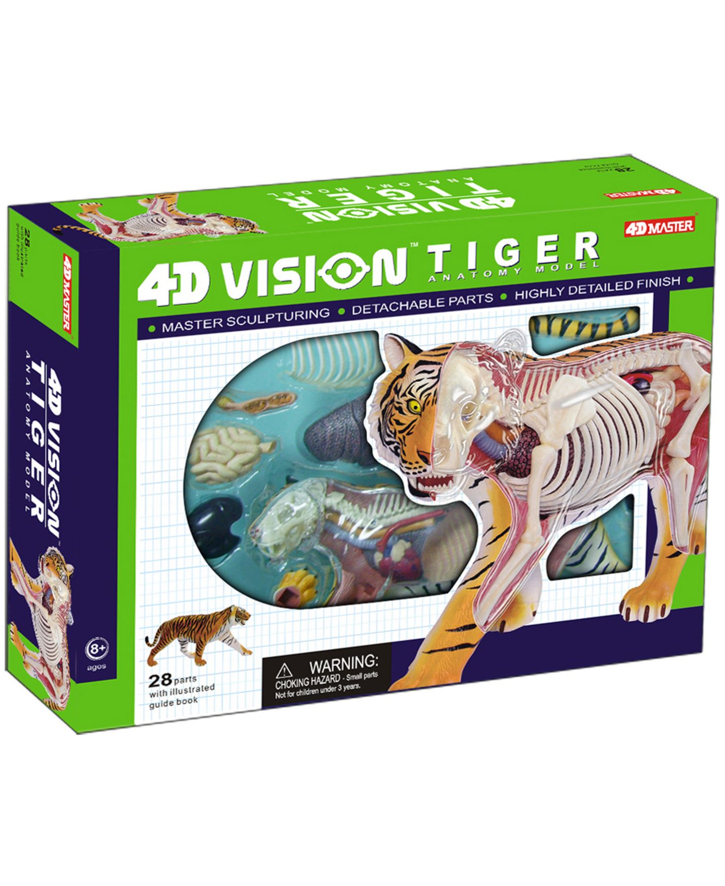Детские игрушки 4D Master 4D Vision Tiger Anatomy Model — фото 1