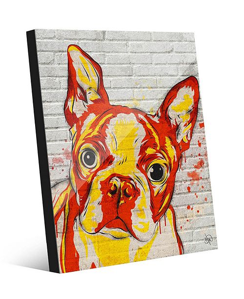 Creative Gallery Boston Terrier Graffiti In Orange Yellow Acrylic Wall Art Print Collection Reviews All Wall Decor Home Decor Macy S