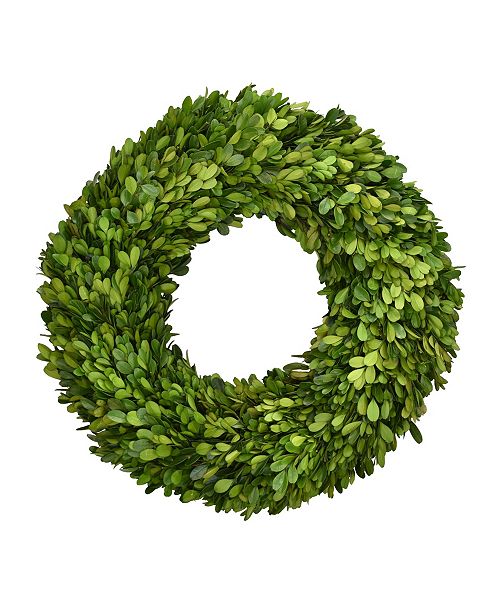 Mills Floral 16 Preserved Boxwood Wreath Reviews All