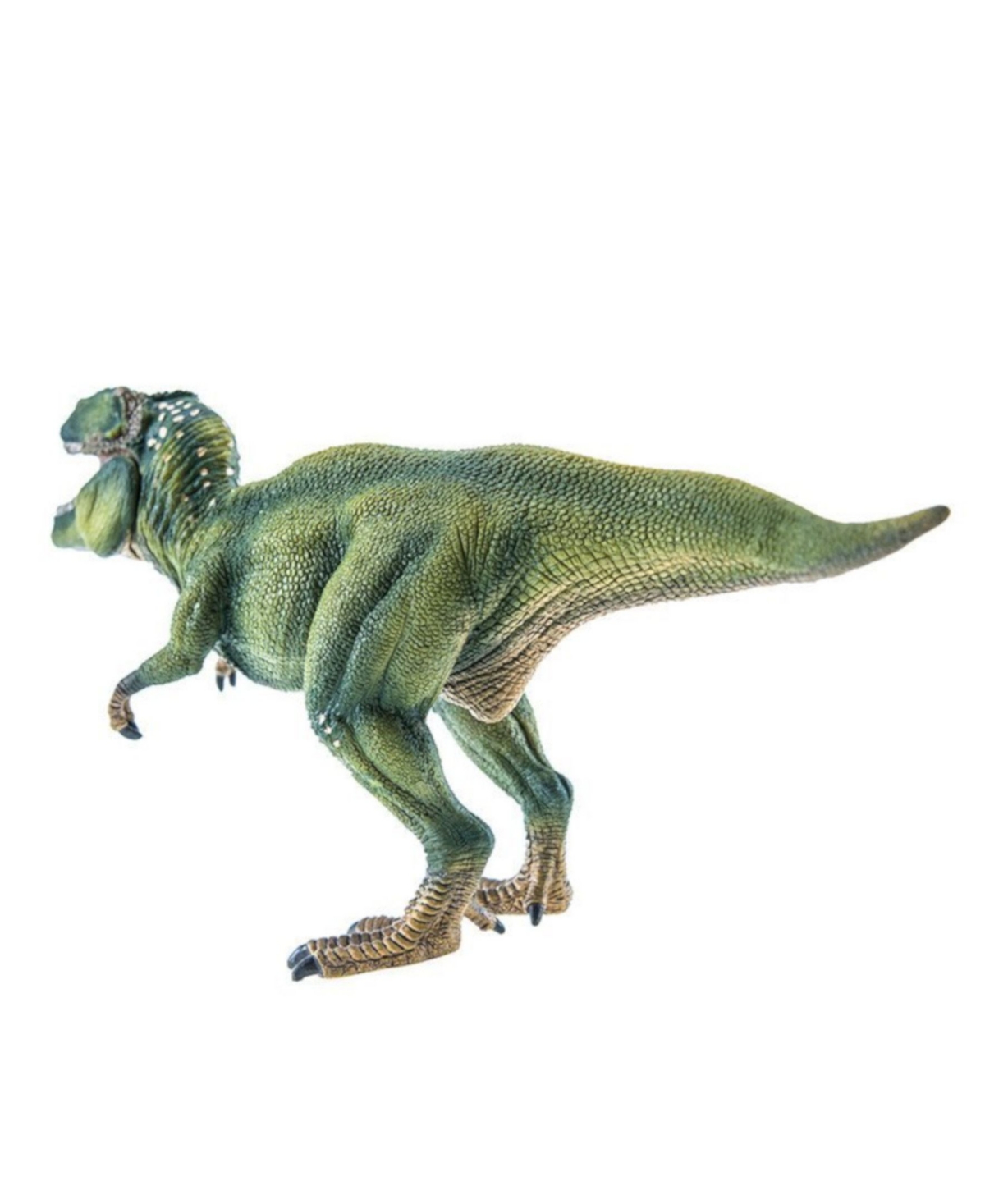 Shop Schleich Dinosaur Tyrannosaurus Rex Toy Figure In Multi