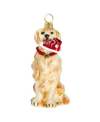 Joy to the World - Golden Retriever W/High Top Sneaker