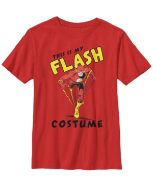 Fifth Sun Dc Comics Little and Big Boys This Is My Flash Costume Short Sleeve T-Shirt