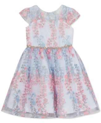 Rare Editions Toddler Girls Embroidered Mesh Dress - Macy's