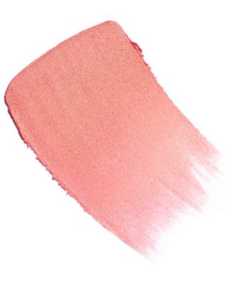 LES BEIGES Healthy Glow Sheer Color Stick