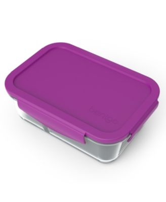 Small Divided Glass Food Storage Container