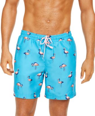 blue flamingo swim shorts