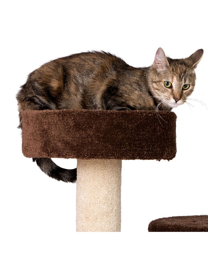 Armarkat Carpeted Real Wood Cat Tree Condo Macy's