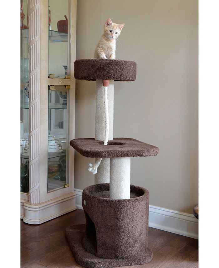 Armarkat 3Tier Carpeted Real Wood Cat Tree Condo Macy's