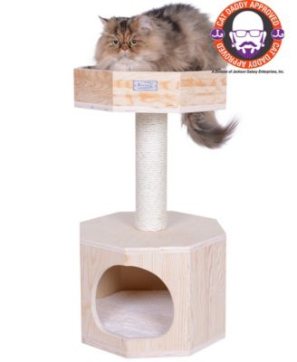 Premium Scots Pine 29-Inch Real Wood Cat Tree with Perch and Condo