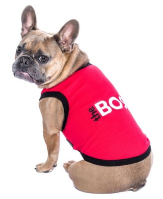 The Boss Dog T Shirt