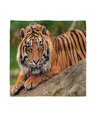 Ambesonne Tiger Set of 4 Napkins, 18" x 18"