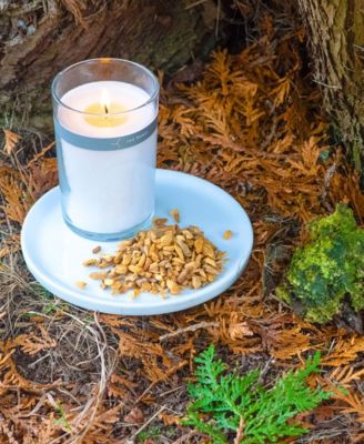 Palo Santo Petal Topped Candle, 6 oz