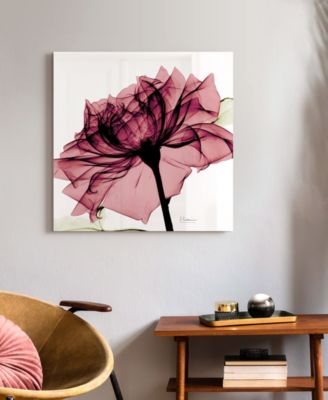Chianti Rose I Frameless Free Floating Tempered Glass Panel Graphic Wall Art, 24" x 24" x 0.2"