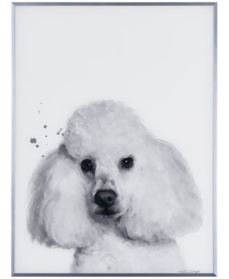 Empire Art Direct Poodle Pet Paintings on Reverse Printed Glass Encased ...