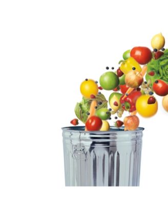 GreenSaver 4.3-Qt. Produce Keeper