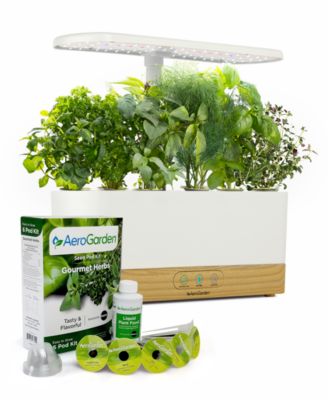 AeroGarden - Harvest Slim Beechwood White with Gourmet Herbs Seed Pod Kit