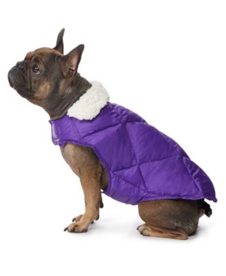 purple barbour dog coat