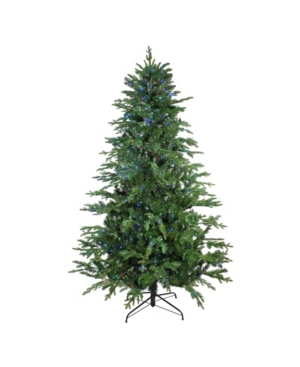 Northlight Pre-Lit Medium Ashland Sitka Spruce Artificial Christmas Tree