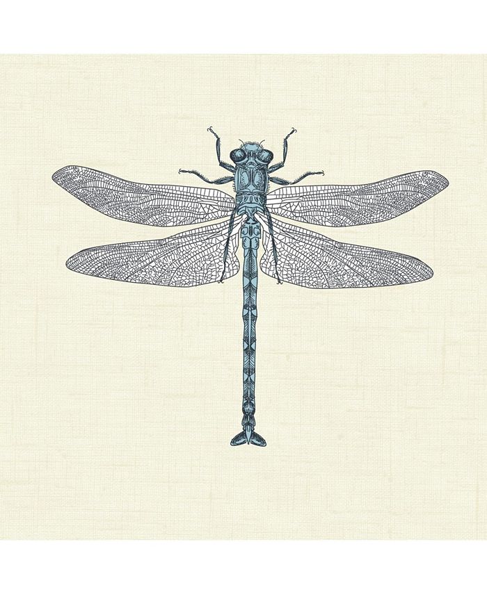 Graham & Brown Dragonflies Peel and Stick Wallpaper Macy's