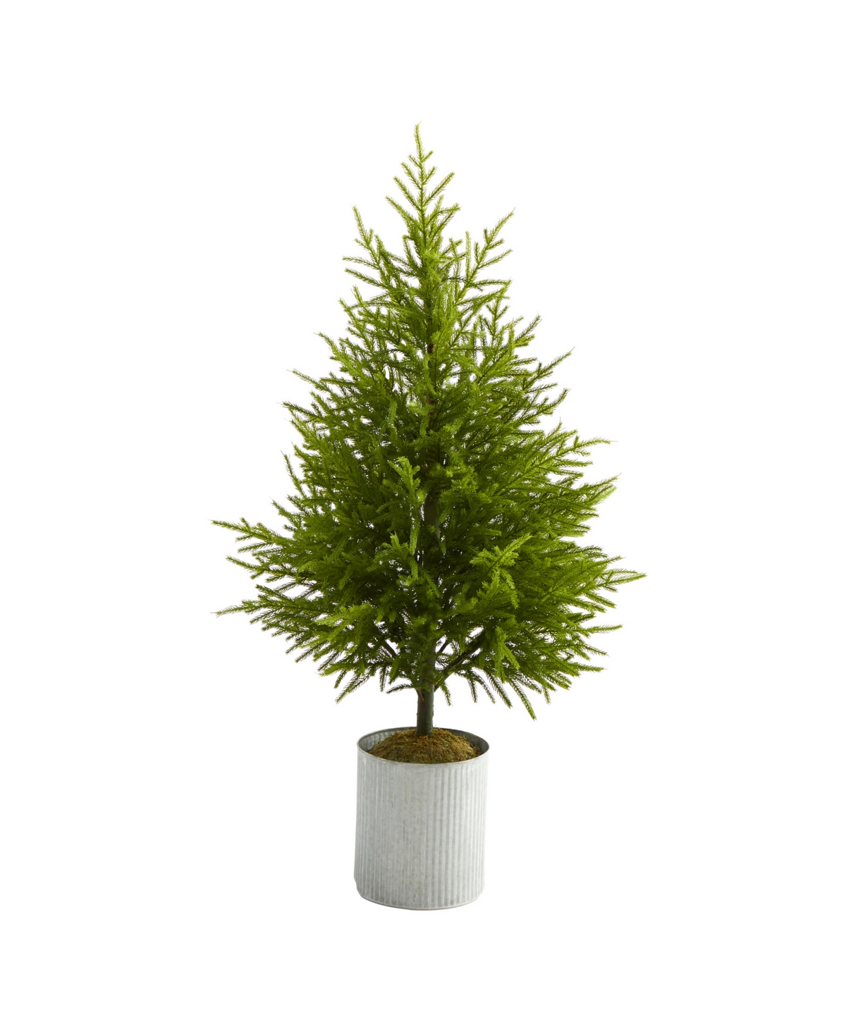 Nearly Natural Norfolk Island Pine 