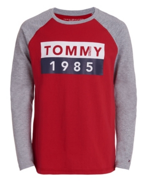 image of Tommy Hilfiger Toddler Boys Abstract Flag Long Sleeve T-Shirt