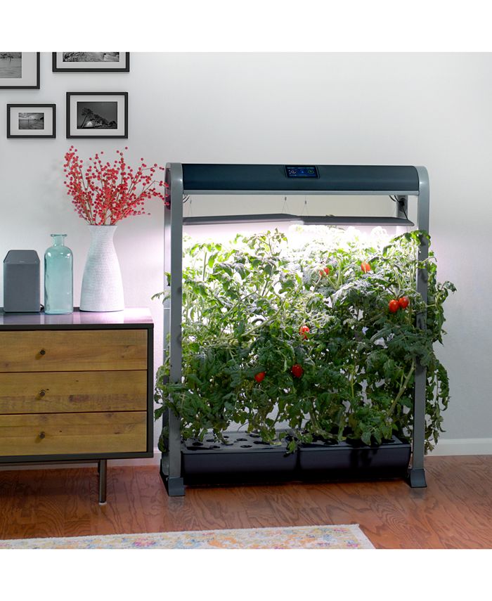 AeroGarden Farm XL Salad Bar 24Pod Seed Kit & Reviews Small