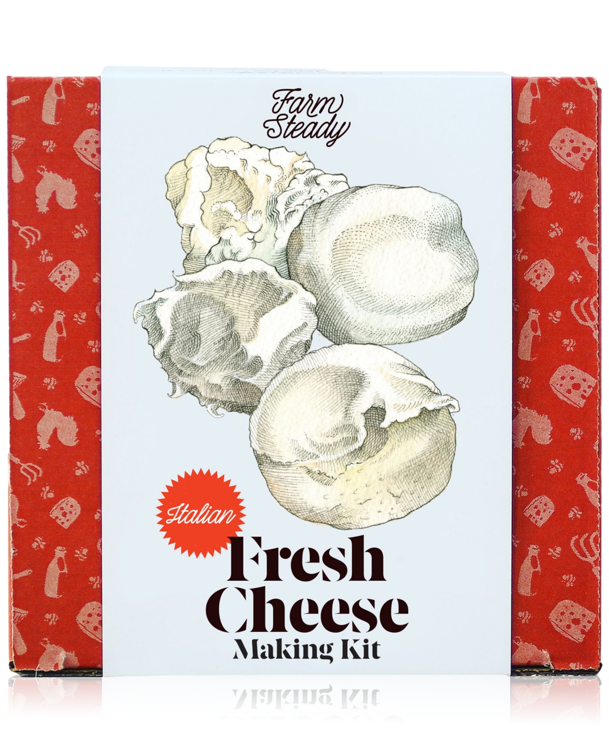 Brooklyn Brew Shop Italian Fresh Cheese-making Kit In Red