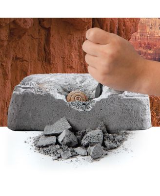 Toy Fossil Excavation Kit, 15 Pieces