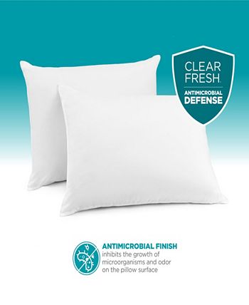 Clearfresh shop ecosmart pillows