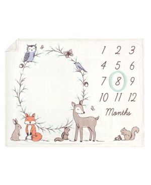 Baby Girls and Boys Plush Holiday and Milestone Blanket