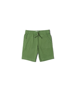 Little Boys Solid Knit Short
