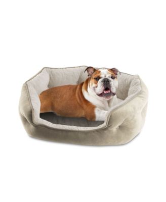 macys dog bed