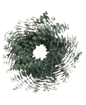 Greenishblu Fresh Eucalyptus Wreath In Green