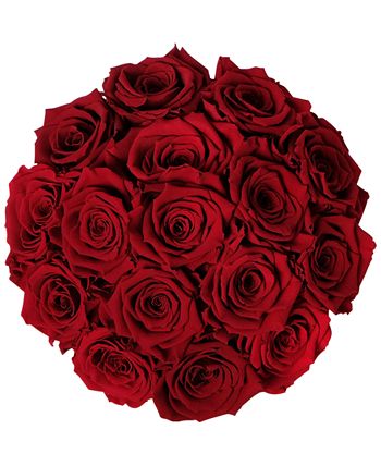 Infinity Roses Round Box of 16 Red Real Roses, Preserved To Last Over A ...
