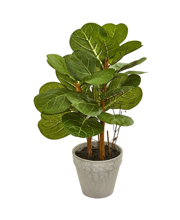 Nearly Natural 22" Fiddle Leaf Artificial Plant & Reviews Artificial