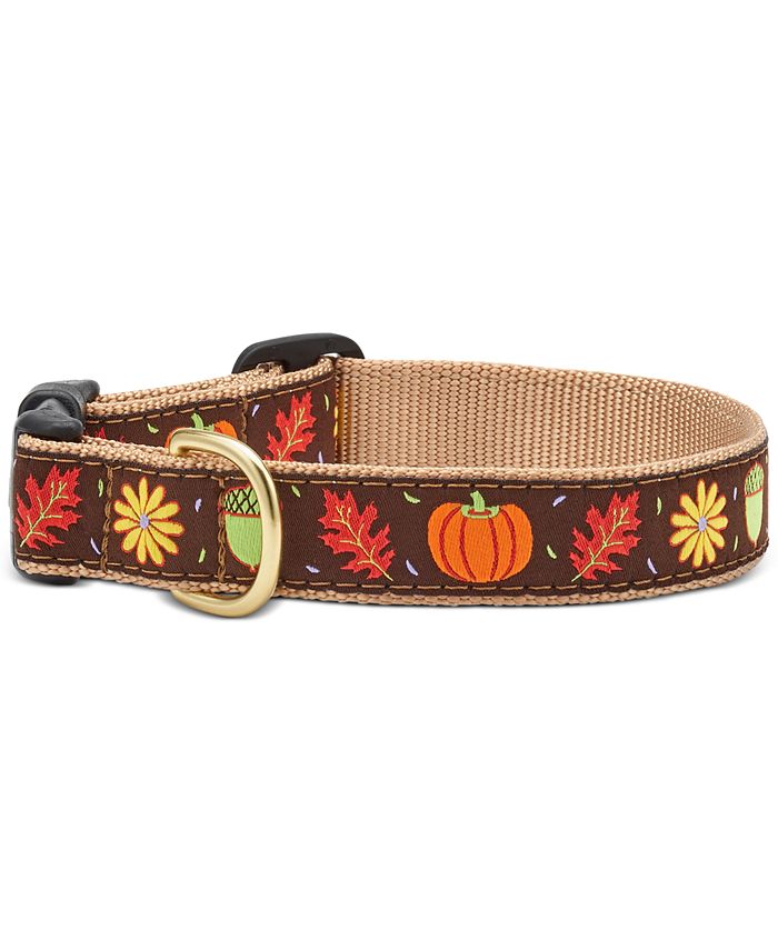 Up Country Graphic Dog Collars Macy's