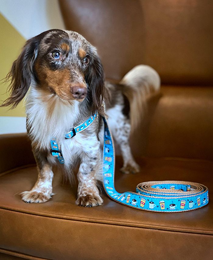 Up Country Graphic Dog Collars & Reviews Pet Accessories Home Decor