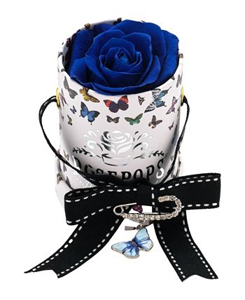 Rosepops - 