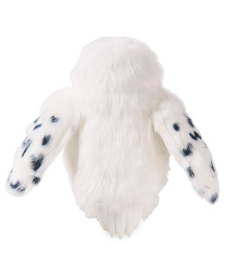 &nbsp;Enchanting Hedwig&nbsp;