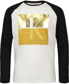 Big Boys Gold Tone Top Box T-shirt