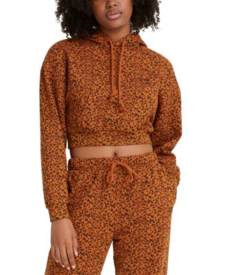 Scratchy Leopard Glazed Ginger | ModeSens