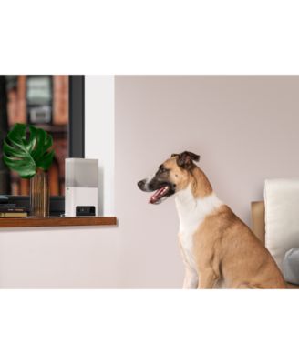 Petcube Bites 2 Lite Smart HD Pet Camera with Treat Dispenser
