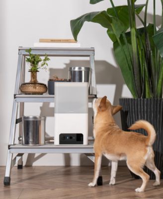 Petcube Bites 2 Lite Smart HD Pet Camera with Treat Dispenser