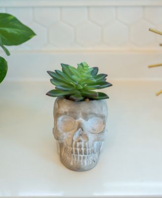 5" Artificial Succulent in Cement Sugar Skull