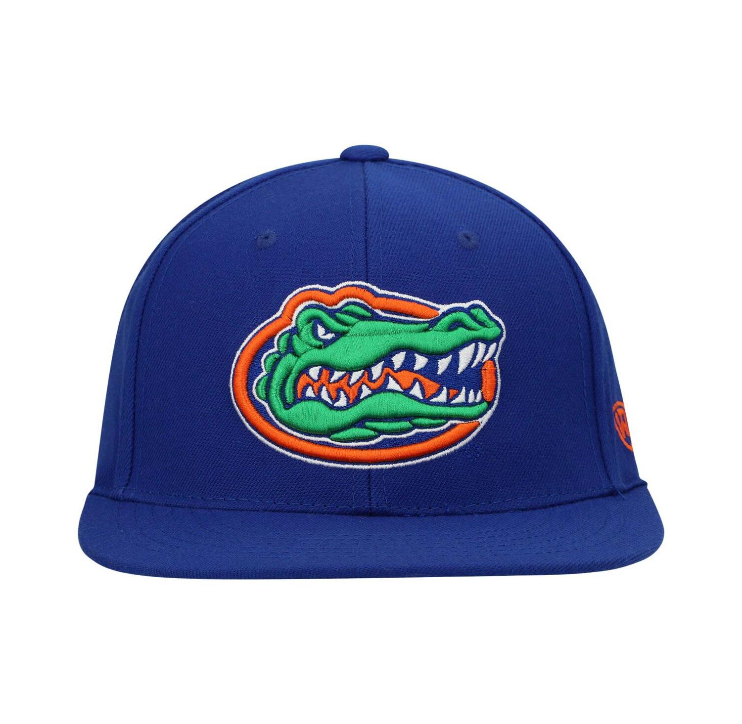 Men's Royal Florida Gators Team Color Fitted Hat