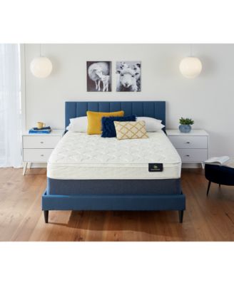 Slumber Oasis 8 Plush Eurotop Mattress- Queen