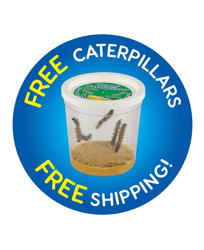 Insect Lore Butterfly Garden Homeschool Edition Macy's